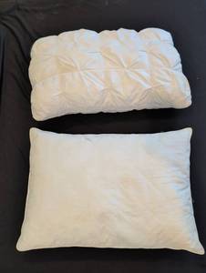 lot 1551 image: Two standard pillows one feels like it might be feather