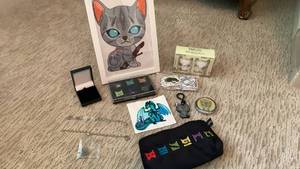 lot 1645 image: Warrior Cats Official Merchandise Collection Bundle