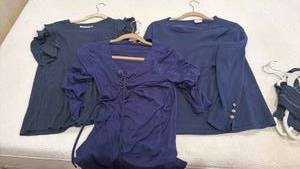 lot 1806 image: Chicos and other womens tops
