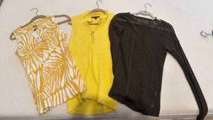 lot 1810 image: Chicos and other womens tops
