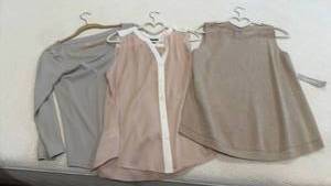 lot 1813 image: Ann Taylor and other womens tops