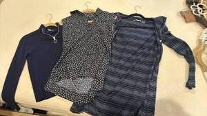 lot 1818 image: Ann Taylor and other womens tops