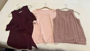 lot 1821 image: White House Black Market and other womens tops