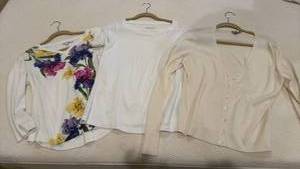 lot 1834 image: Chicos and other womens tops