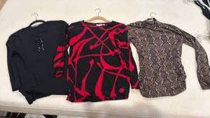 lot 1840 image: Chicos and other womens tops