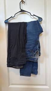 lot 1864 image: Chicos and other ladies pants