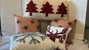 lot 3100 image: Set of 4 Decorative Throw Pillows - Holiday and Novelty Designs