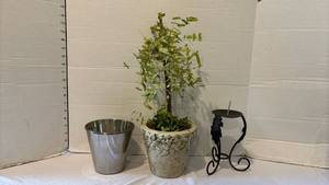 lot 3111 image: Home Decor Set Faux Topiary in Stone Pot, Wrought Iron Candle Holder & Stainless Steel Bucket