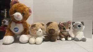 lot 3508 image: Cat Stuffed Animal Plush Lot of 5