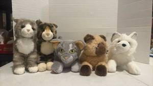 lot 3513 image: Lot of 5 Cat and Fox Stuffed Animal Plush Toys