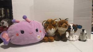 lot 3519 image: Stuffed Animal Plush Toy Lot of 5 - Squishmallow Butterfly & stuffed animals
