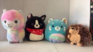 lot 3535 image: Lot of 4 Stuffed Animal Plush Toys - Squishmallow & Friends