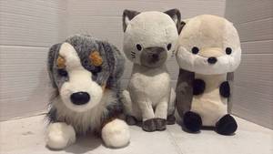 lot 3540 image: Stuffed Animal Plush Lot - Dog, Cat, and Otter