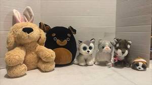 lot 3549 image: Mixed Dog Plush Stuffed Animal Lot of 6