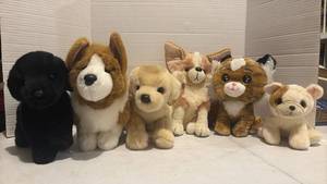 lot 3551 image: Lot of 6 Plush Stuffed Animal Dogs and Cats