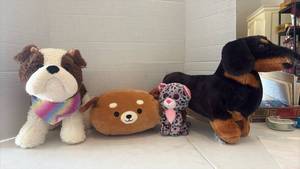 lot 3560 image: Stuffed Animal Plush Toy Lot of 4