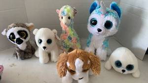 lot 3650 image: Ty beanies
