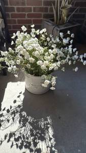 lot 4009 image: Ceramic pot with faux flowers 10x13 dia