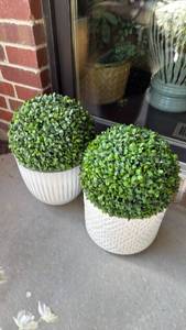 lot 4011 image: 2 faux boxwood in ceramic pots 15 inches tall