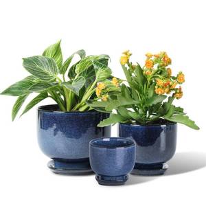 lot 6607 image: vicrays Ceramic Plant Pots Indoor - 6.85.5 Inch Planter Pot with Drainage Hole and Saucer for Succulent Orchid Flower Herbs Cactus Gardening Home Desktop Office Decor - Set of 2Blue
