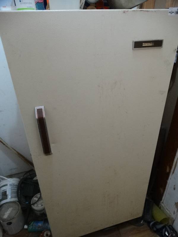lot 6770 image: Deep freezer contents not inculded.
