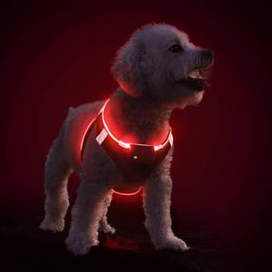 lot 6947 image: PceoTllar Light Up Dog Harness, LED No Pull Reflective Dog Harness, Flashing Lighted for Night Walking - SmallMedium, (Black Red,xs)