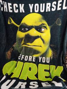 lot 7390 image: Shrek Check Yourself Before You Shrek Yourself throw blanket