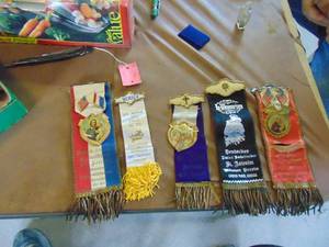 lot 4122 image: In Memorium Badges - Mt. Vernon Ks. Garden Plain Ks.