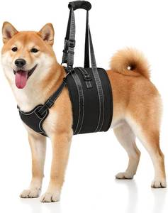 lot 21934 image: NOYAL Dog Lift Harness Sling - Adjustable Pet Carrier for Senior Dogs with Arthritis Joint Injuries, Emergency Support Rehabilitation Aid for Nail Trimming, Stairs Assistance
