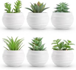 lot 18065 image: Der Rose Set of 6 Succulents Plants Artificial in Pots Small Fake Plants for Bedroom Aesthetic Living Room Shelf Bathroom Decor Office Desk Accessories