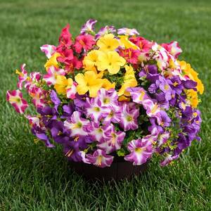 lot 18099 image: Artificial Flowers for Outdoors Fake Plants Outside Decoration, 12 Bundles Silk Petunia with Eucalyptus UV Resistant Realistic Faux Flowers for Outdoor Planters Garden Balcony (6 Color)