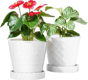 lot 18159 image: BUYMAX Plant Pots Indoor  6 inch Ceramic Flower Pot with Drainage Hole and Ceramic Tray - Gardening Home Desktop Office Windowsill Decoration Gift, Set of 2(White)