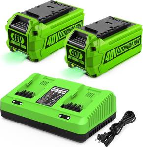 lot 18185 image: energup 2Pack 6.5Ah Replace for Greenworks 40V Battery & Charger Kit, Compatible with Greenworks 40 Volt G-MAX Cordless Power Tools (with Dual-Port for Green Works 40V Charger)