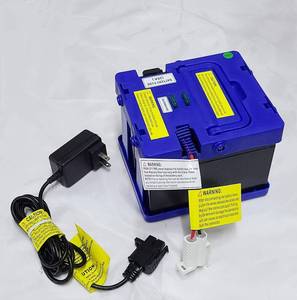 lot 18232 image: 24 Volt Battery and Charger Compatibal with for Motion Trendz Mega Tredz Yamaha Grizzly Action Wheels Monster Jam Grave Digger Thunder Tank Battery Powered Ride On