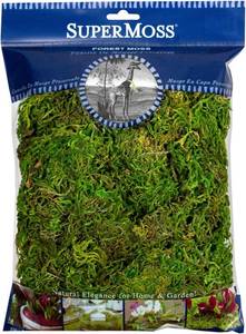 lot 22382 image: SuperMoss Forest Moss Preserved Lasting Decorative Long Fibers for Potted Plants and Crafts, Fresh Green