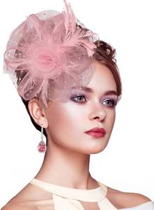 lot 18373 image: Stegosaurus Fascinators for Women, Tea Party Hats for Women Womens Fascinator HeadbandHair Clip for Wedding Cocktail