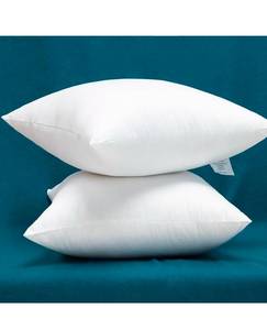 lot 18841 image: Set of 2 100% Cotton Fabric Plump Throw Pillow Inserts, Down Alternative Decorative Couch Pillow Inserts, 26 X 26 Inches - Retail $42