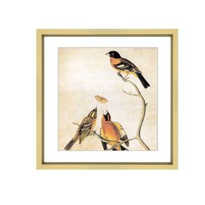 lot 275 image: 6x6 Picture Frame, Brass Metal Photo Frames with HD Glass, Fits 5x5 with Mat or 6 x 6 without Mat, Display for Wall and Table, 1 Pack - Retail $13