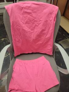 lot 4 image: Pink Top and Shorts Set. no size on tag - Retail $12
