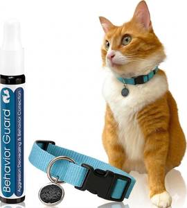 lot 2631 image: Cat Aggression Relief Calming Collar, Natural Anxiety Relief, Breakaway Vet-Approved Relaxer, Pet-Safe Collar with Essential Oils (Light Blue - Myrrh) - Retail $17