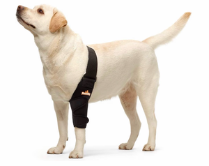 lot 3255 image: Dog Elbow Brace Protector Pads for Canine Elbow and Shoulder Support Elbow Hygroma, Dysplasia, Osteoarthritis, Elbow Calluses, Pressure Sores and Shoulder Dislocation (Left Leg, Medium)&nbsp