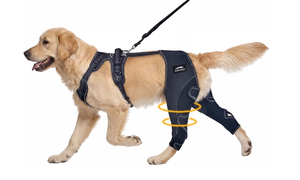 lot 3279 image: Dog Knee Braces for Back Leg, Dog Knee Brace for Torn ACL Hind Leg Support, Adjustable Dog ACL Brace for Hind Leg, CCL Patella Luxation Support, Joint Recovery Wrap for Medium Large Dogs (XL) - Retail $85