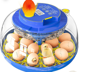 lot 3359 image: Incubators for Hatching Eggs, 18 Eggs Incubator with Automatic Egg Turning and Temperature & Humidity Control, 360° Full Viewing Eggs Candler for Hatching Chicken, Duck, Quail, Goose, Parrot - Retail $40