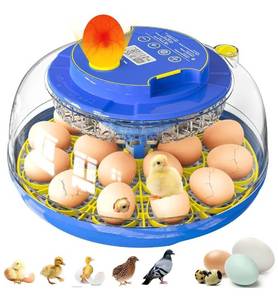 lot 3405 image: Incubators for Hatching Eggs, 18 Eggs Incubator with Automatic Egg Turning and Temperature &amp Humidity Control, 360° Full Viewing Eggs Candler for Hatching Chicken, Duck, Quail, Goose, Parrot -&nbsp
