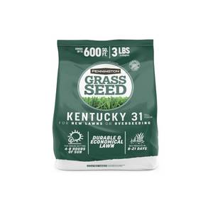 lot 3467 image: Pennington Kentucky 31 Fescue 3 LB Tall Fescue Grass Seed, Grass Seeds for Lawn - Retail $9