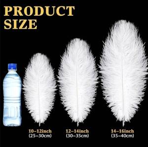 90 Pcs Large Natural Ostrich Feathers Bulk 14-16 Inch (35-40cm) 12-14 Inch (30-35cm) 10-12 (25-30cm) Ostrich Feathers Plumes for Centerpieces Wedding (White) - Retail: $62