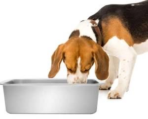 lot 63664 image: 1.1 Gallons Dog Bowl Food Grade Stainless Steel Pan, Dishwasher Safe - Retail $15