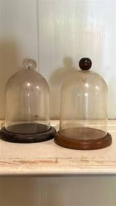 lot 60614 image: Pair of Glass Display Domes with Wooden Bases