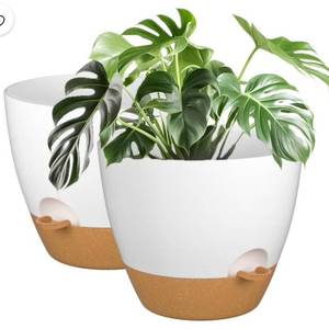 lot 39094 image: 3-Pack White with Brown Plastic Self-Watering Plant Pots, Indoor Outdoor Flower Planters with Drainage Holes and Detachable Water Tray (7, 6.5, 6)