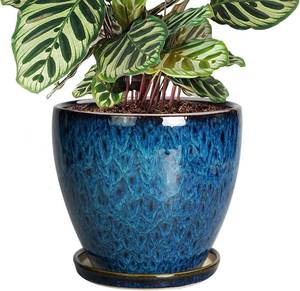 lot 121545 image: 8 Inch Ceramic Planter Pot with Drainage Hole and Saucer, Ceraimc Plant Pot Round Flower Pot for Indoor Plants Outdoor Garden Planter, Blue